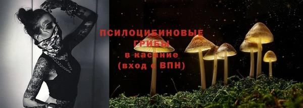 ALPHA-PVP Богородицк